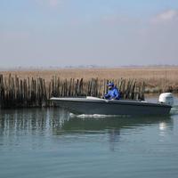 Cacciapesca silver 5 ceccherini - nuovo