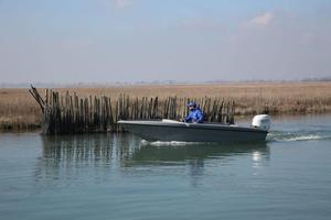 Cacciapesca silver 5 ceccherini - nuovo