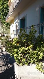 App.p.rialz. 7/8 Pers.A/C da Maggio a Settembre