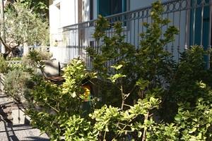 App.p.rialz. 7/8 Pers.A/C da Maggio a Settembre