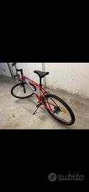 Bicicletta tecnobike