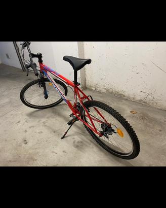 Bicicletta tecnobike