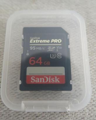 Custodia SD card