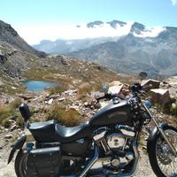 Harley-Davidson Sportster 1200 - 2013