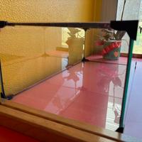 Acquario o terrario per tartaruga di acqua