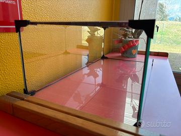 Acquario o terrario per tartaruga di acqua