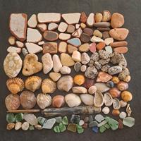 pietre mare decorative