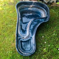 Piscina da giardino per tartarughe