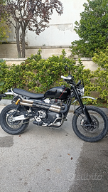 Triumph scrambler 1200 xc