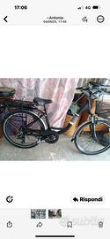 Bici elettrica a pedalata assistita