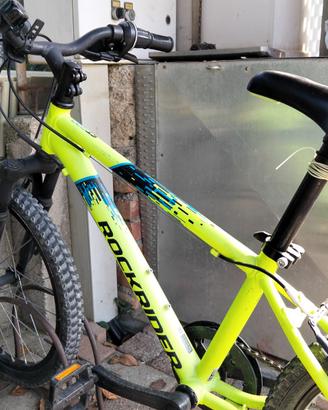 Bicicletta 