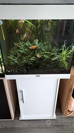 Acquario Juwel lido 120