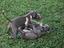 Immagine 26