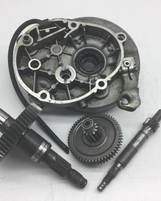 APRILIA SCARABEO 4T 50 CARTER E INGRANAGGI RUOTA P