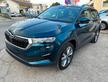 SKODA Karoq Karoq 2.0 TDI SCR 4x4 DSG Executive