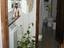 Immagine 18