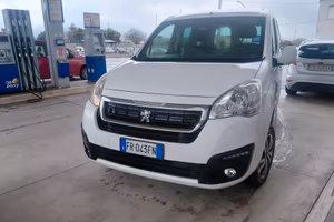 Peugeot Partner Tepee DANGEL 4X4 BlueHDi 100 Outdo