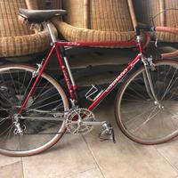 Colnago Superissimo bicicletta Eroica