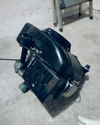 Motore per falciatrice