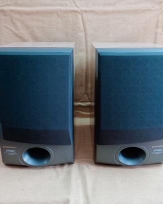Diffusori Casse Pioneer S-P370 due vie