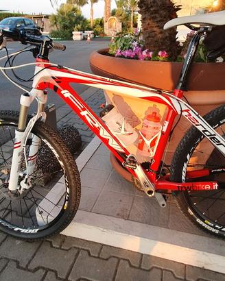 MTB in carbonio