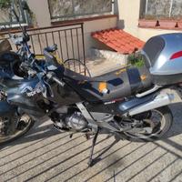 aprilia pegaso 650