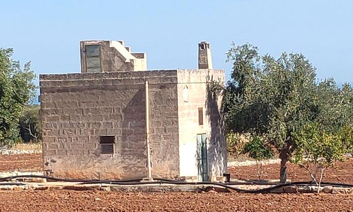 RUSTICO anni 50' vista mare_eTERRENO vero a.ffar.e