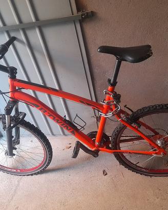 mountain-bike 