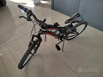 bici da 20