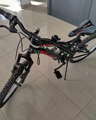 bici da 20