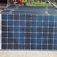 Pannelli solari qcell da 310 watt