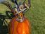 Immagine 20