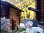 Immagine 2