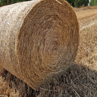 Rotopresse di Paglia