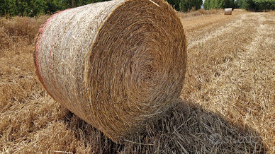 Rotopresse di Paglia