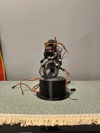 Braccio robotico