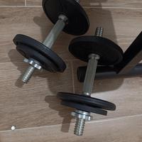 panca con bilanciere e manubri, più pesi