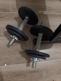 panca con bilanciere e manubri, più pesi