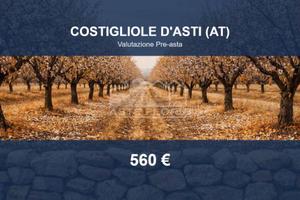 Immobile in asta di 721 m² a Costigliole d'Asti
