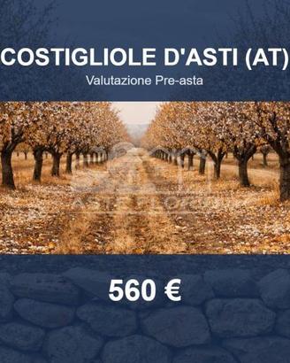 Immobile in asta di 721 m² a Costigliole d'Asti
