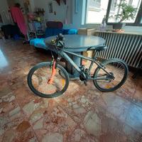 mountain bike  junior 