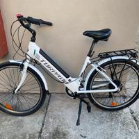Bici elettrica