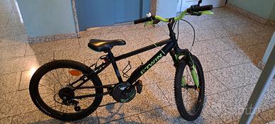 bici BTWin da 20 pollici