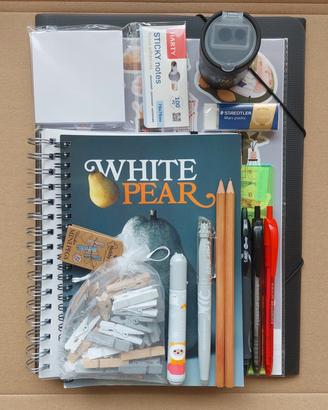 Set Cancelleria sticky Notes Notebooks Accessori
