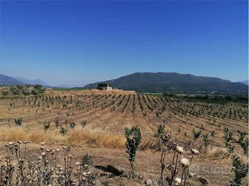Terreno di 360000 m² a Pietramelara