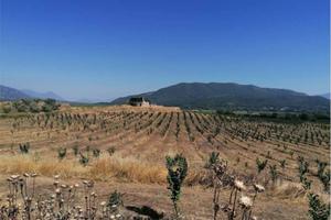 Terreno di 360000 m² a Pietramelara