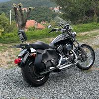 Harley Davidson Sportster xl1200c