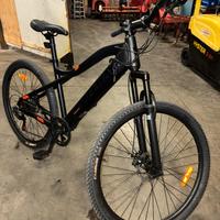 Bicicletta Elettrica