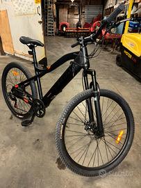 Bicicletta Elettrica