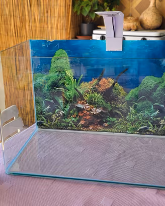 acquario moderno 60 litri